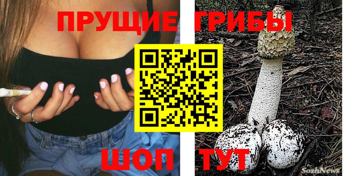 Галлюциногенные грибы Psilocybe  Вход с VPN  Заречный 