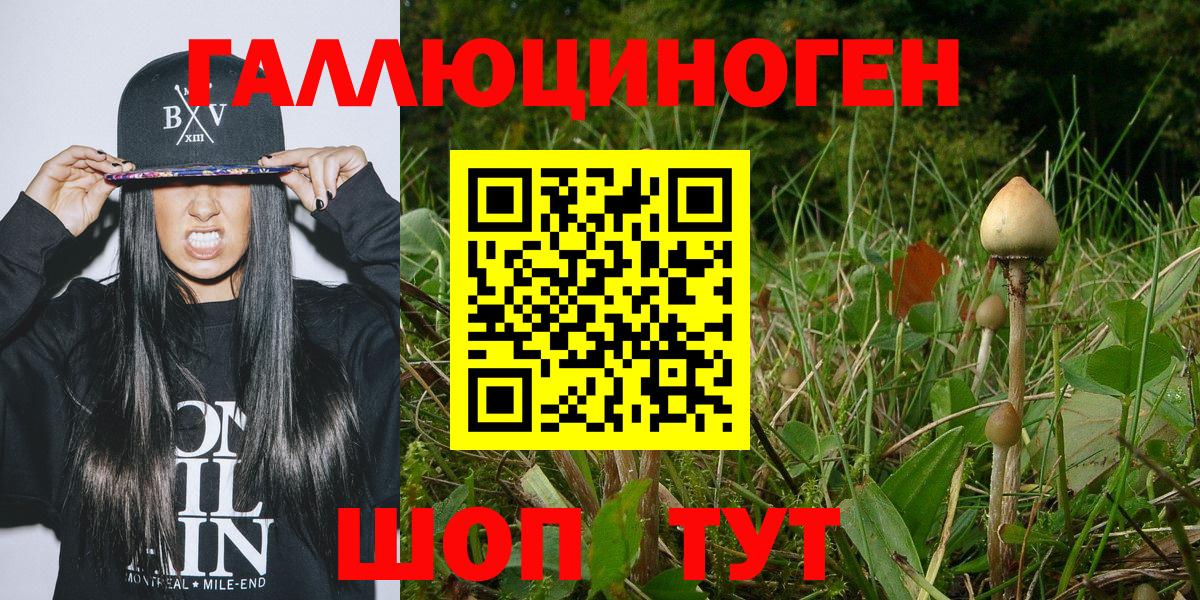 Псилоцибиновые грибы MAGIC MUSHROOMS Заречный